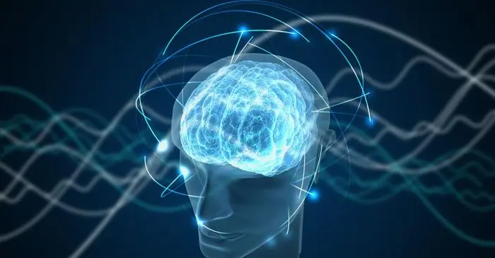 Nuove scoperte svelano i misteri della coscienza umana