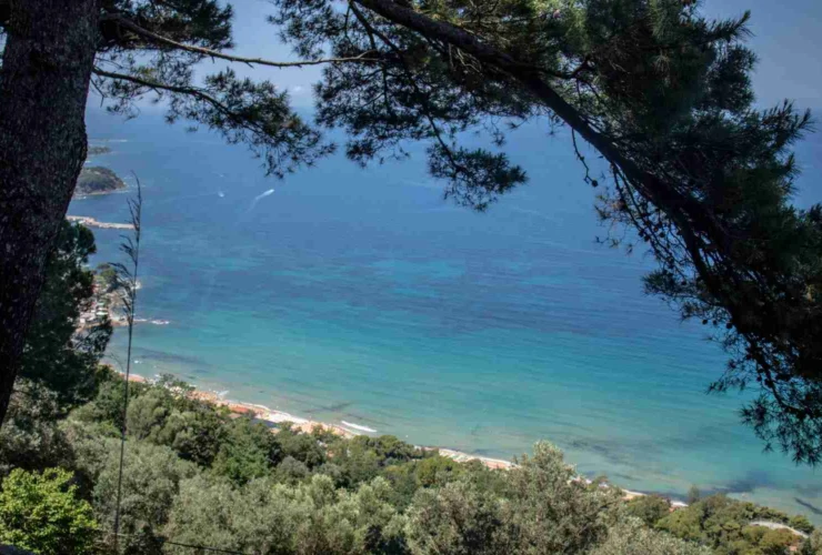 Cilento incantevole: le spiagge da sogno di Castellabate e Agropoli