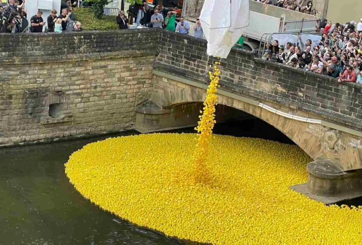 Eventi di beneficenza con paperelle di plastica: la Duck Race e oltre