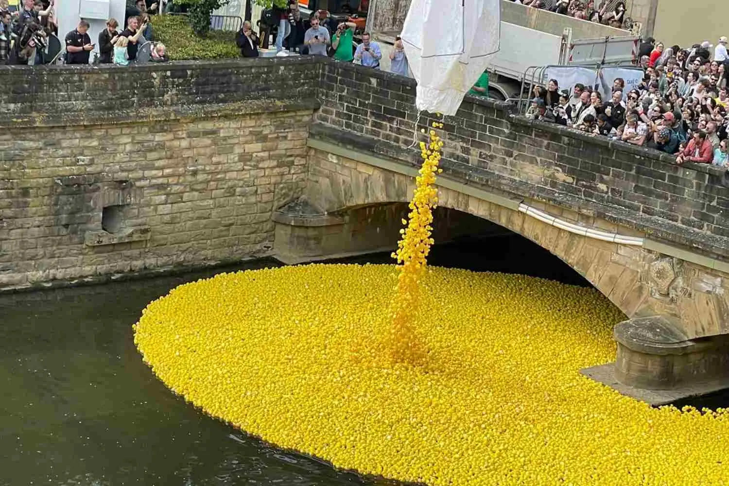 Eventi di beneficenza con paperelle di plastica: la Duck Race e oltre