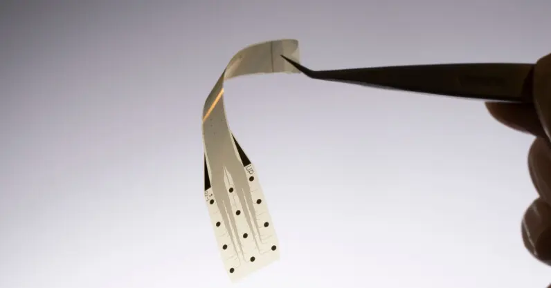 Inbrain sfida Neuralink: impianti cerebrali oltre la medicina?