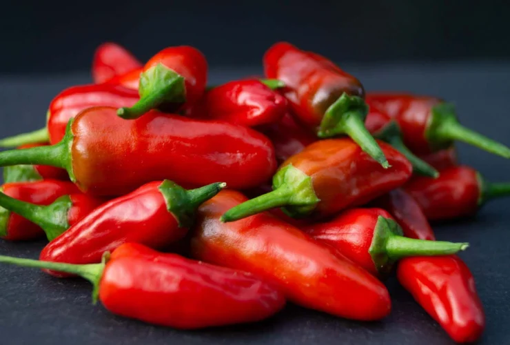 Scoperto un “anti-piccante” naturale per rendere meno forti i peperoncini