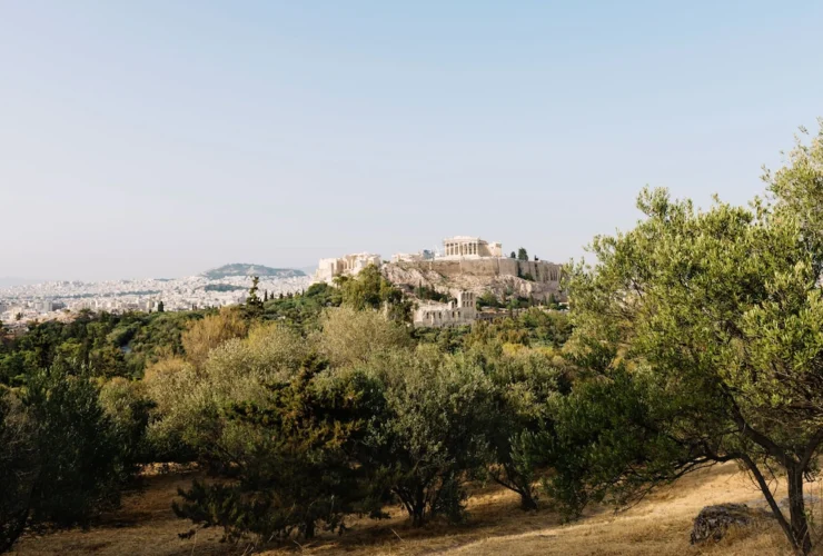 Il turismo dell’olio d’oliva in Grecia: dove assaporare l’eccellenza
