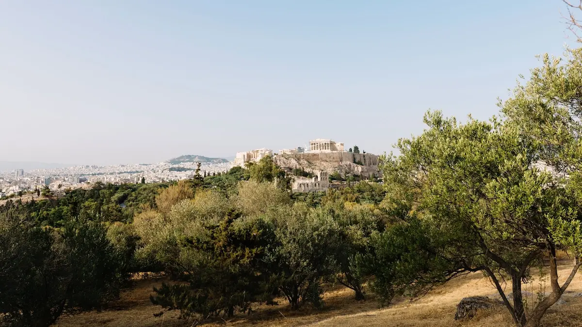Il turismo dell’olio d’oliva in Grecia: dove assaporare l’eccellenza