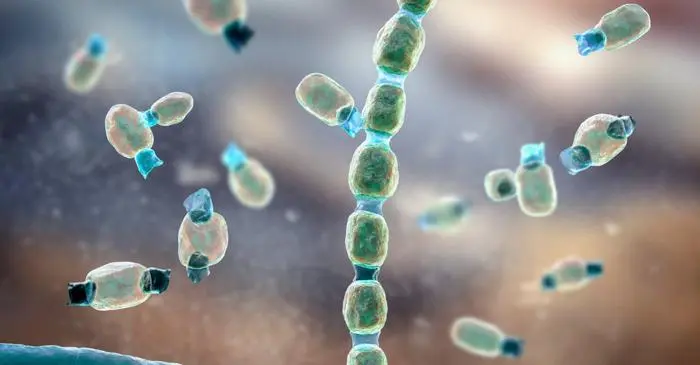 Le infezioni fungine resistenti: una minaccia in crescita globale