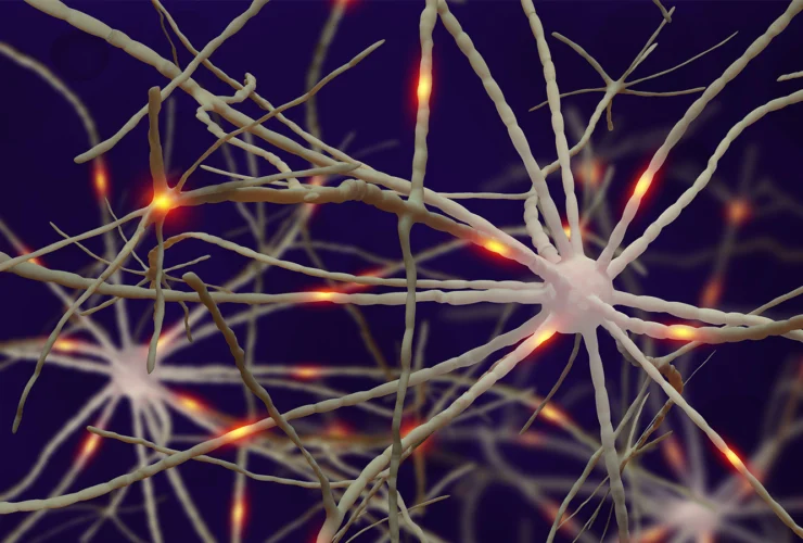 Più americani con demenza: crescono i casi complessivi nonostante il calo dei nuovi