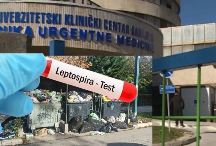 Leptospiroza a Sarajevo: l’emergenza dopo due anni senza derattizzazione
