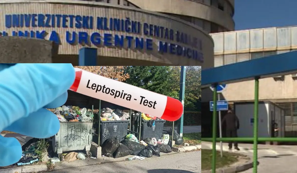 Leptospiroza a Sarajevo: l’emergenza dopo due anni senza derattizzazione