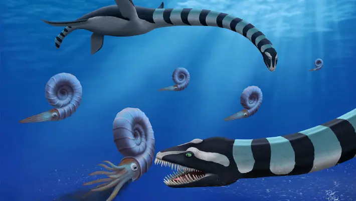 Scoperta unica: Traskasaura sandrae, il nuovo elasmosauro marino