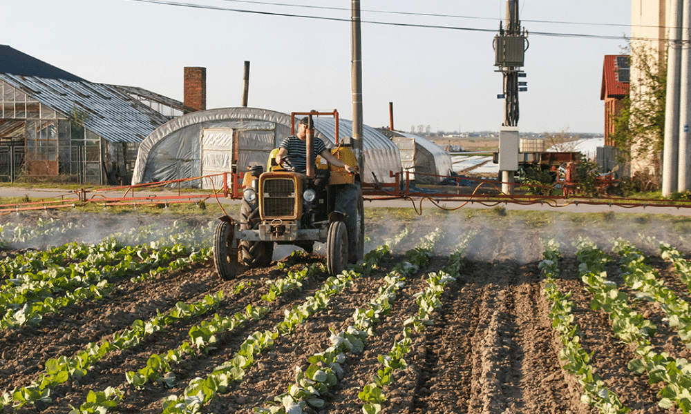 Gestione dei rifiuti nell’industria alimentare e effetti sulla salute