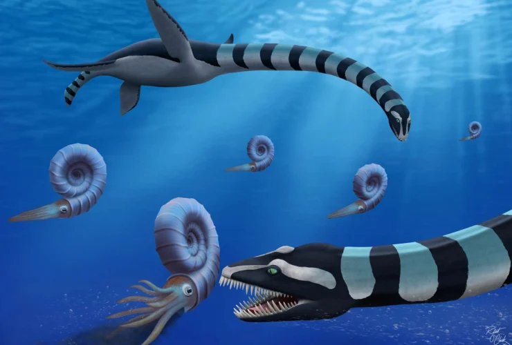 Un fossile svela il mistero di un drago marino mai scoperto