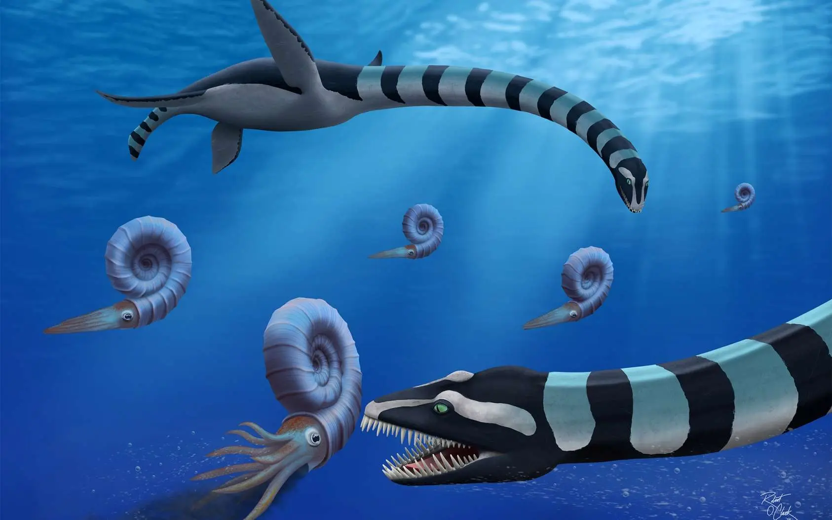 Un fossile svela il mistero di un drago marino mai scoperto