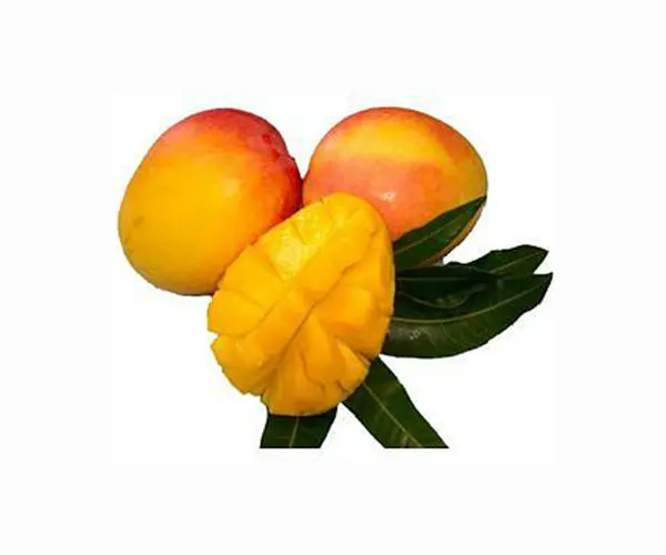 Offerte mango rafforzano legami commerciali tra Bangladesh e Cina