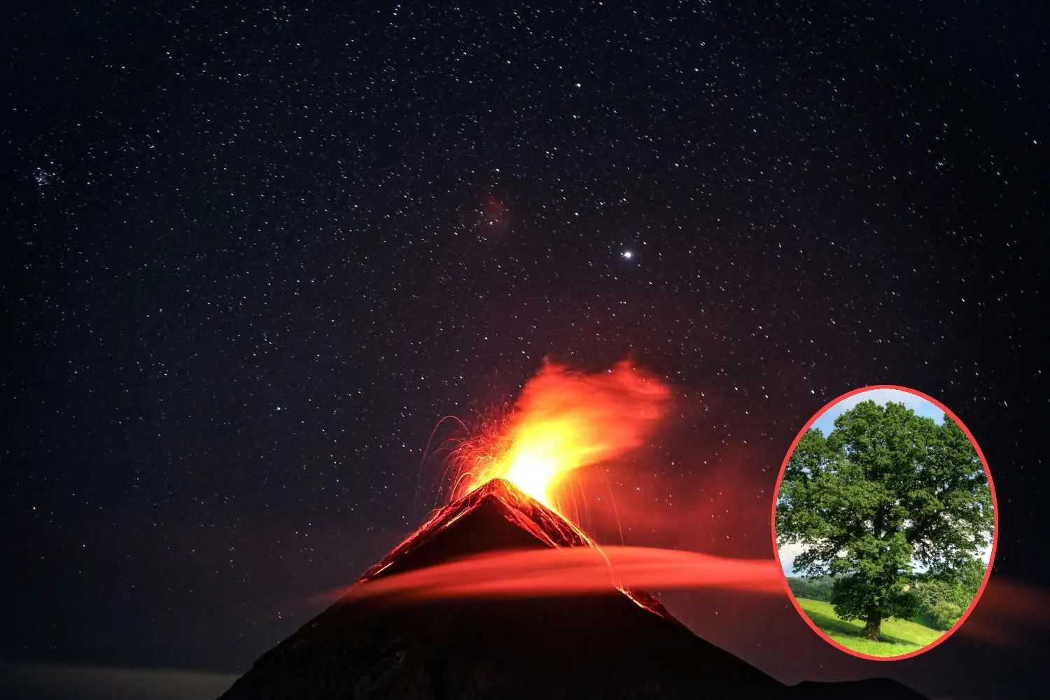 Segnali verdi dagli alberi: la NASA anticipa le eruzioni vulcaniche