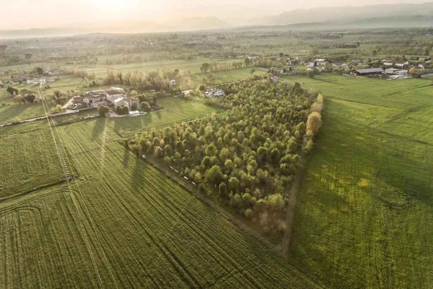 Biorepack: crescita record del riciclo bioplastiche compostabili in Italia