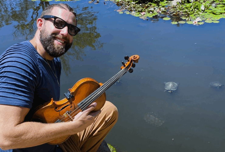 Le tartarughe si raccolgono incantate dalla magia del violino