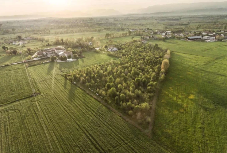 I più ricchi e il paradosso delle diseguaglianze nella crisi ambientale
