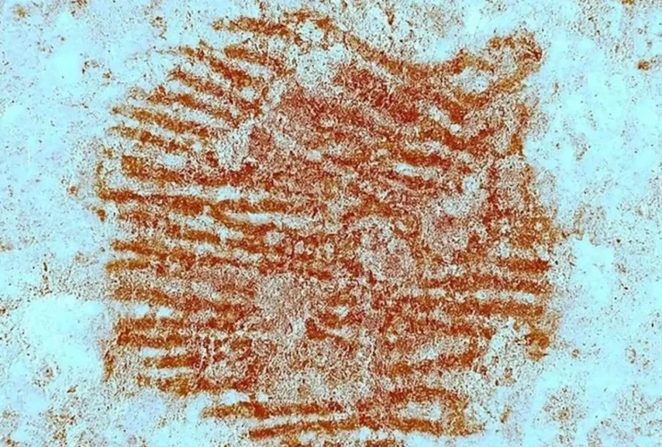 Il mistero dei punti rossi lasciati dai Neanderthal 40 mila anni fa