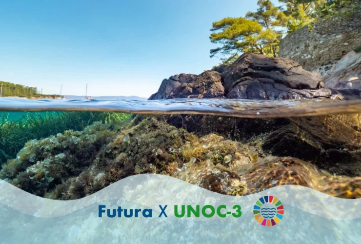 Un angolo raro della Mediterraneo francese ricco di biodiversità