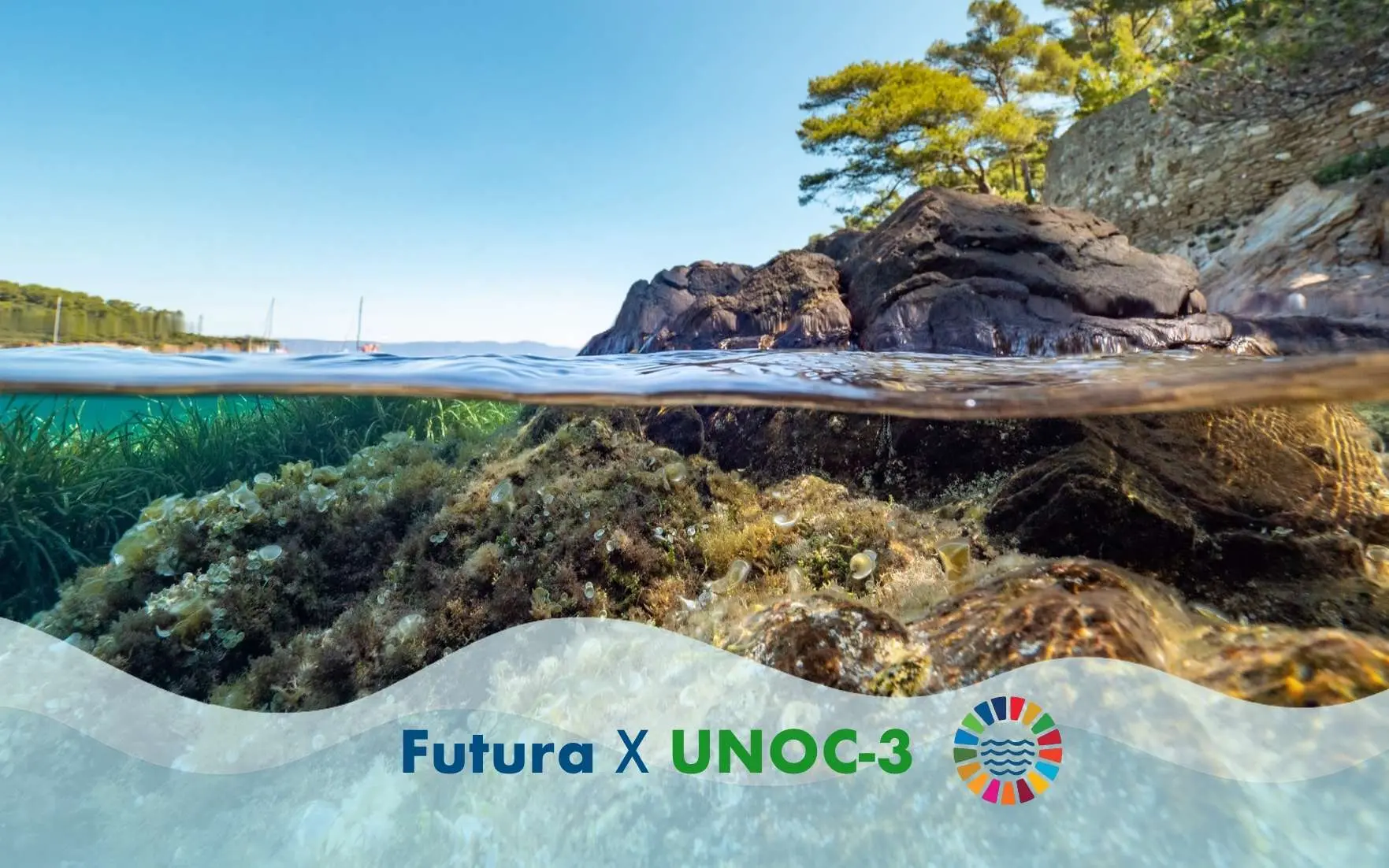 Un angolo raro della Mediterraneo francese ricco di biodiversità