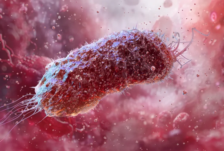 Come un antibiotico comune alimenta la resistenza batterica globale