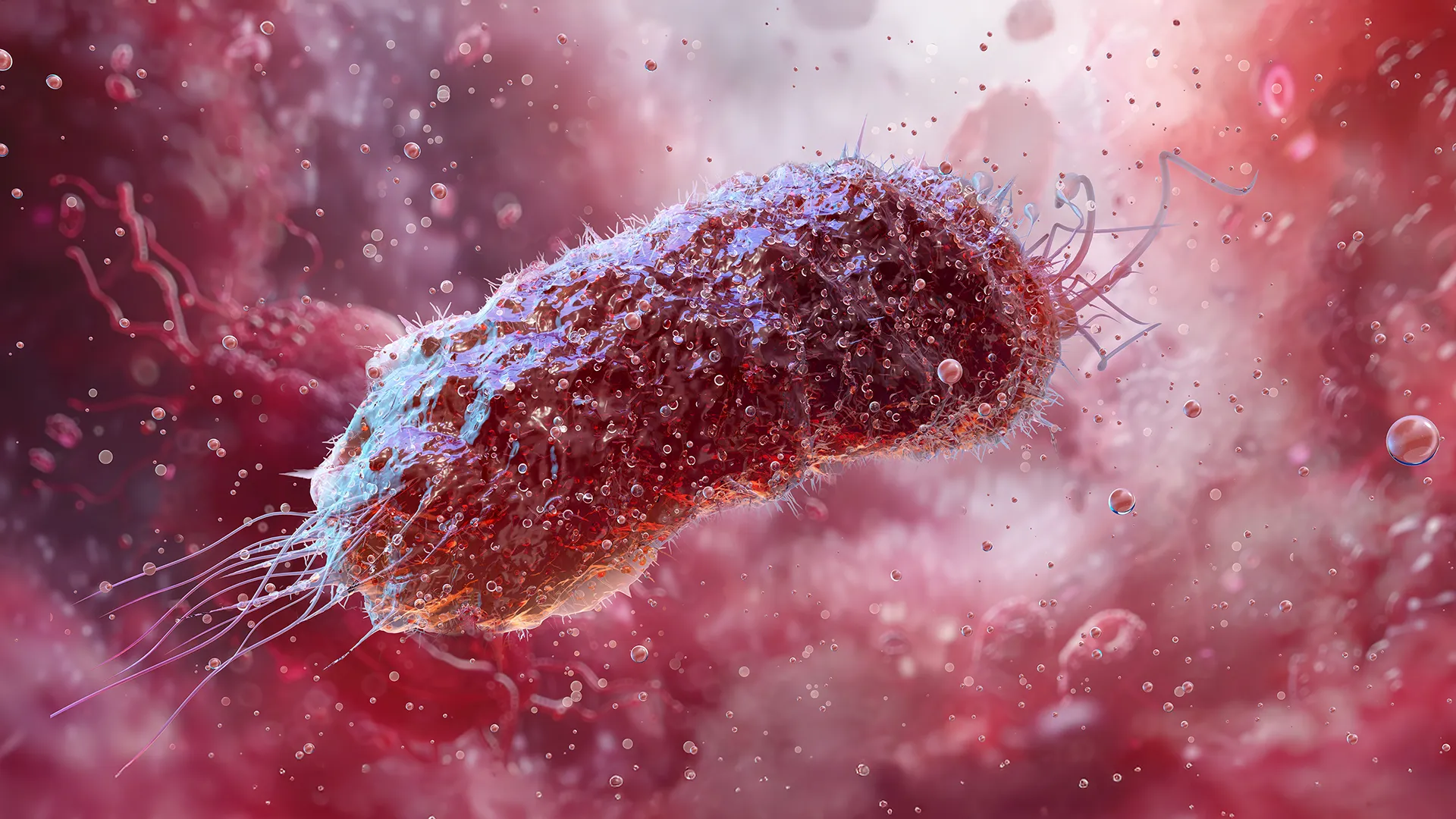 Come un antibiotico comune alimenta la resistenza batterica globale