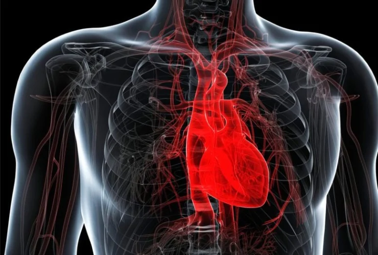 Ricercatore cardiologo lancia l’allarme sulle nuove linee guida per la salute del cuore