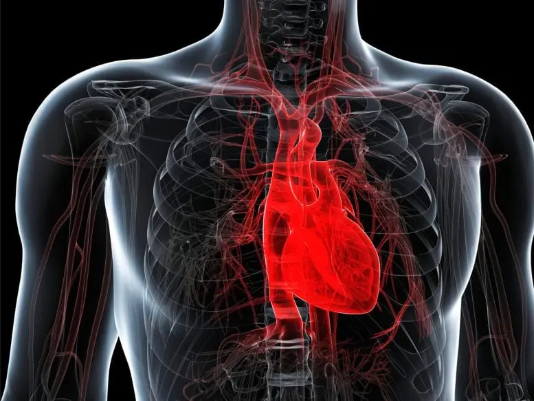 Ricercatore cardiologo lancia l’allarme sulle nuove linee guida per la salute del cuore