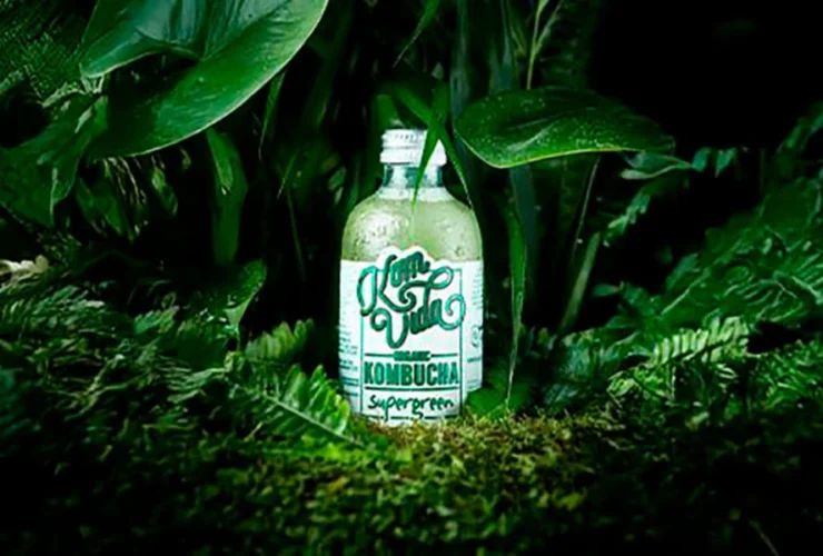 Kombucha: benefici duraturi e consigli per un consumo costante