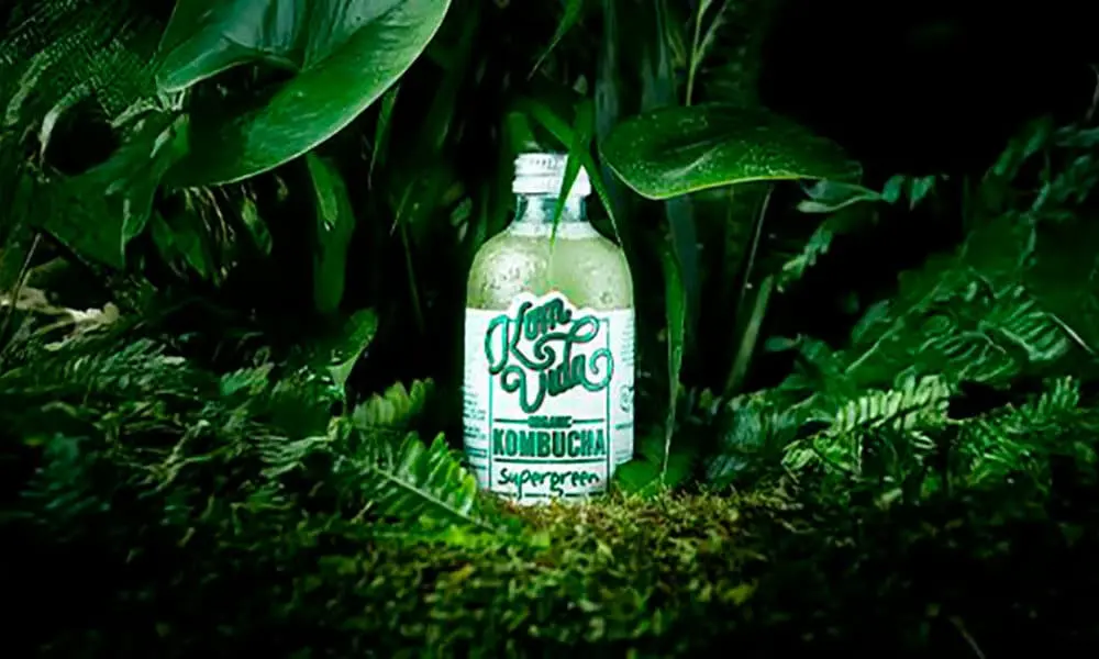 Kombucha: benefici duraturi e consigli per un consumo costante
