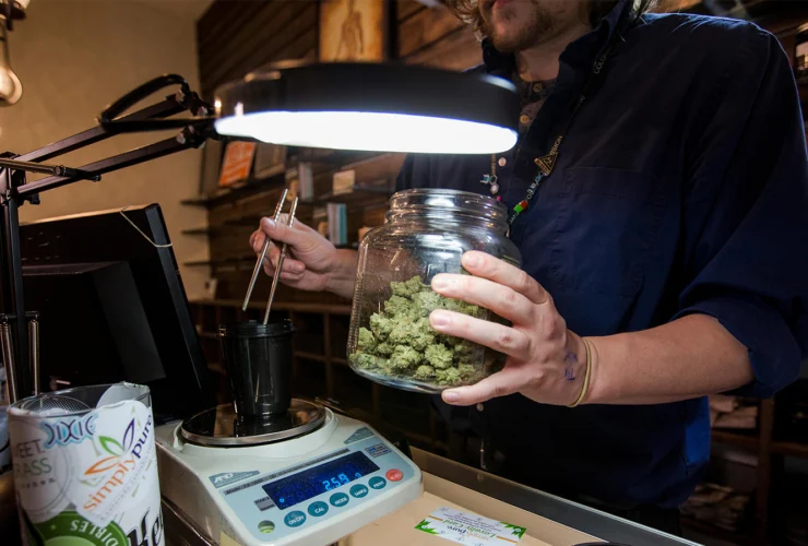 Il legame tra cannabis e malattie cardiovascolari in evoluzione normativa