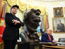 Tesla torna a crescere: Wedbush valuta le azioni troppo svalutate dopo la fine con Trump-Musk