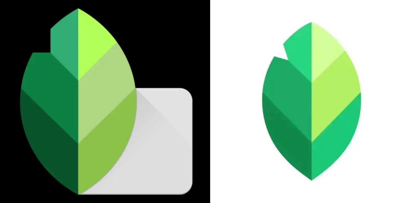 Snapseed torna dopo 4 anni con la versione 3.0 senza pubblicità per iOS