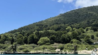 ostrvo na Jadranu