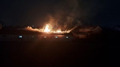 Požar u Bijeljini, gori farma svinja