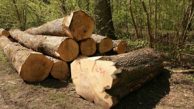 Rukovodioci „Šuma“ oslobođeni optužbi za zloupotrebu položaja