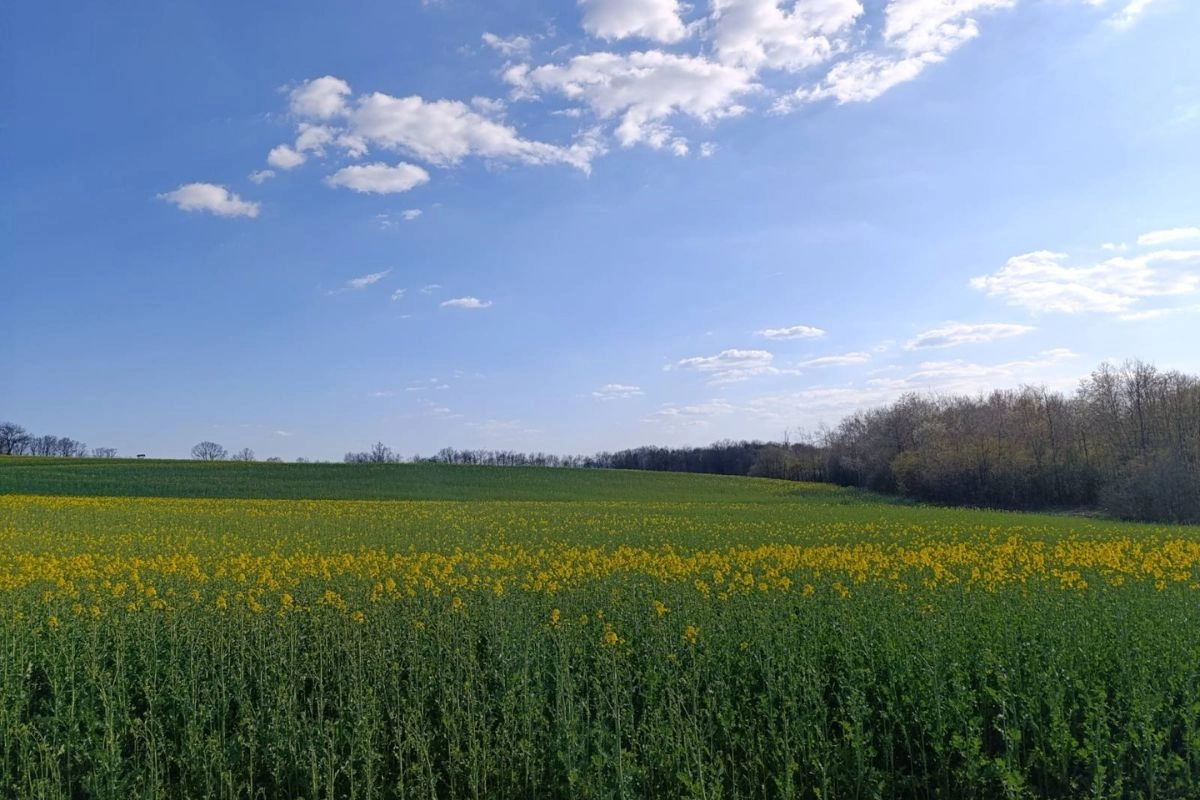 Meteorolozi objavili prognozu: Kakvo vrijeme će biti za Đurđevdan?