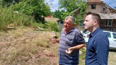 Medvjed ubio konja na imanju kod Foče