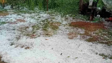 Milionska šteta od grada u Hercegovini