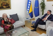Hanka Paldum dobila diplomatski pasoš BiH