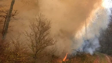 Požari u trebinjskim selima: Vatra ugrožava kuće