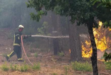 Drama u Francuskoj i Španiji: Požari se nekontrolisano šire prema Bordou i Madridu