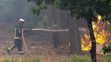 Drama u Francuskoj i Španiji: Požari se nekontrolisano šire prema Bordou i Madridu