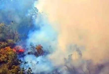 Tragedija u Dalmaciji: Požar progutao kamp-kućicu, jedna osoba stradala