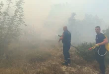 Alarmantno kod Trebinja: Vatrogasci brane kuće sa svih strana