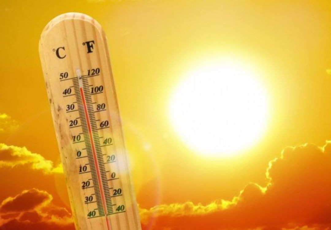 Gotovo 10.000 ljudi preminulo od posljedica vrelog talasa u Njemačkoj