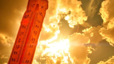 Pakleni vikend pred nama: Temperatura ide do 41 stepen