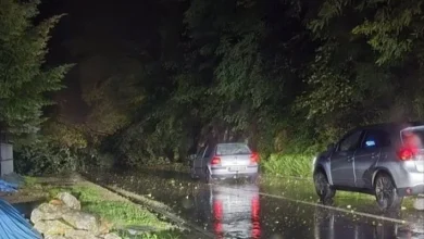 Jako nevrijeme u Zvorniku ostavilo građane bez struje
