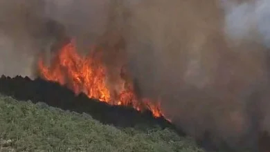 Požar bukti kod Bihaća: Vatrogasci ne mogu prići zbog mina