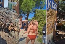 Bor pao na kupače na plaži u Hrvatskoj, povrijeđeno dvoje odraslih i dvoje djece